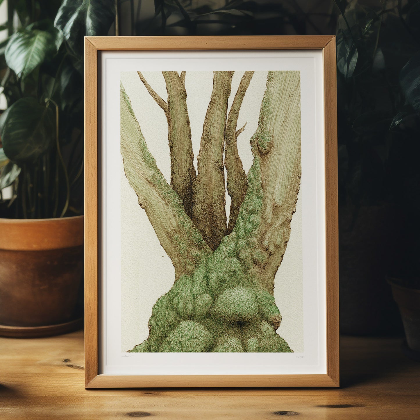 Like the moss is the tree, you are me